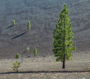 Bottom of Cinder Cone Photograph by Jon Exley