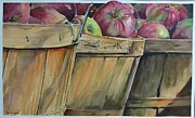 Bountiful Harvest Painting by Bev Morgan