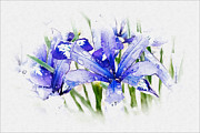 Bouquet in Spring Photograph by Marilyn Cornwell Bouquet in Spring Photograph by Marilyn Cornwell