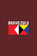Bravo Zulu-01 Painting by Celestial Images