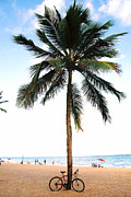 Brazil Beach / Bike Photograph by Claude Taylor