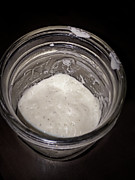 Bread-Ingredients-Ten Year Old Sourdough Starter  Photograph by Shelli Fitzpatrick