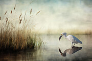Breakfast for a Snowy Egret Digital Art by Jerry Dalrymple
