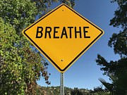 Breathe Sculpture by Scott Froschauer