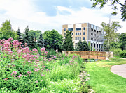 Brewster Gardens in August  Photograph by Janice Drew