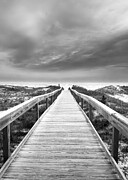 Bridge Leading to Beach on Ocean Shore in Black and White Photograph by Good Focused