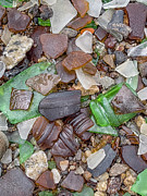 Broken River Glass Photograph by Cate Franklyn
