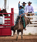 Bronc Riding Hero Photograph by Kelly Markus