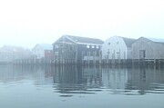 Brouillard a Seal Cove Digital Art by Dominique Lecomte Brouillard a Seal Cove Digital Art by Dominique Lecomte