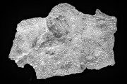 Brucite Crystal Details BW Photograph by Susan Candelario Brucite Crystal Details BW Photograph by Susan Candelario