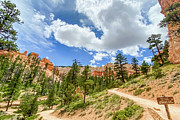 Bryce Canyon Hiking Photograph by Jessica Yurinko