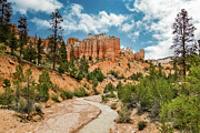 Bryce Canyon Tropic Ditch Stream Photograph by Anthony Sacco