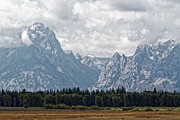 Buck and Wister - Grand Teton National Park Photograph by KJ Swan Buck and Wister - Grand Teton National Park Photograph by KJ Swan