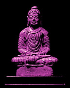 Buddha Pink Photograph by Marisol VB
