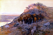 Buffalo Herd at Bay Painting by Charles M Russell