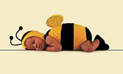 Bumblebee #4 Photograph by Anne Geddes