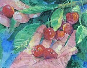 Bumper Crop Painting by Bev Morgan