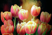 Bursting Forth Photograph by Denise Harty