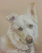 Buster Drawing by James Andrews