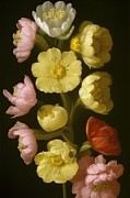 Buttercups Digital Art by Sterling and Thorn
