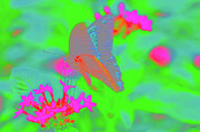 Butterfly Garden Digital Art by Bruce Block Butterfly Garden Digital Art by Bruce Block