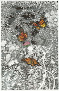 Butterfly Garden Drawing by Jonathan Baldock