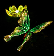 Butterfly Photograph by Stephen Dorton Butterfly Photograph by Stephen Dorton