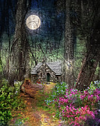 Cabin in the Woods - Limited Edition  Photograph by Shara Abel