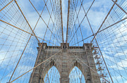 Cable Web Photograph by Cate Franklyn