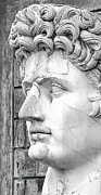 Caesar Augustus at Vatican Museums 2 Photograph by Stefano Senise Caesar Augustus at Vatican Museums 2 Photograph by Stefano Senise