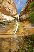 Calf Creek Falls Vertical Photograph by Aaron Spong