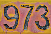 Calling 973 New Jersey Photograph by Marilyn Cornwell Calling 973 New Jersey Photograph by Marilyn Cornwell