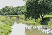 Calm Creek Photograph by Bentley Davis Calm Creek Photograph by Bentley Davis