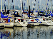 Calm Waters Photograph by Susie Loechler Calm Waters Photograph by Susie Loechler