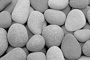 Stony Palette II Black and White Photograph by Kathi Mirto