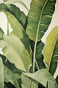 Calming Botanical Art - Lush Green Paintings Painting by Lourry Legarde