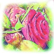Camellia Bud And Bloom Digital Art by Kirt Tisdale