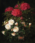 Camellia Florals Still Life Painting Digital Art by Vintage Wall Art