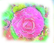 Camellia Pastel PInk Bloom Digital Art by Kirt Tisdale