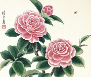 Pink Camellias I Painting by Ren Yu Pink Camellias I Painting by Ren Yu