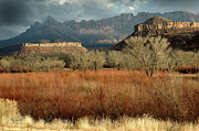 Canaan Mountains Zion National Park Photograph by Dave Diegelman Canaan Mountains Zion National Park Photograph by Dave Diegelman