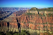 Canyon from the North Rim Photograph by Ronald Lutz Canyon from the North Rim Photograph by Ronald Lutz