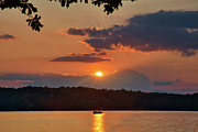 Captured in the sunrays Photograph by Amy Dundon