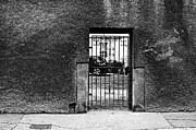 Car Through Gate Photograph by Edward Lee