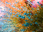 Carmela Laino Painting by Trask Ferrero Carmela Laino Painting by Trask Ferrero