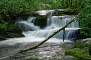 Cascades On Lynn Camp Prong 3 Photograph by Phil Perkins