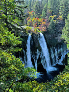 Cascading Falls Photograph by Curt Brashear