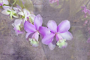 Cascading into Love Photograph by Marilyn Cornwell