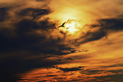 Casting Shadows Photograph by Rich Kovach