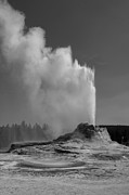 Castle Geyser, Yellowstone National Park Photograph by The Yellowstone Collection